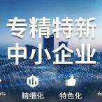 公司获得北京市经信局颁发的专精特新证书