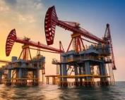 公司中标《XXX气田地质油藏一体化研究》项目